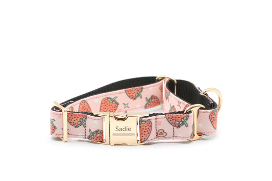 Strawberry Sweetheart Dog Collar