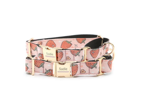 Strawberry Sweetheart Dog Collar