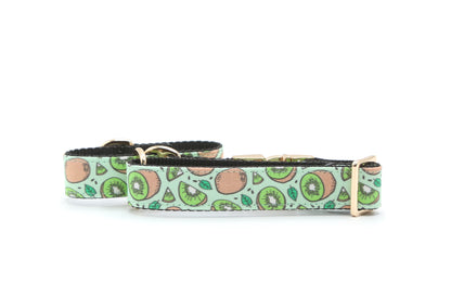 Kiwi Kiss Dog Collar