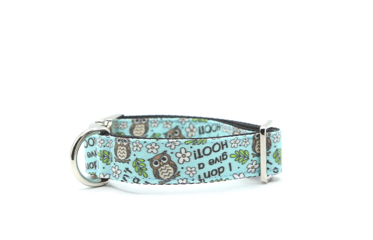 I Don’t Give a Hoot Dog Collar
