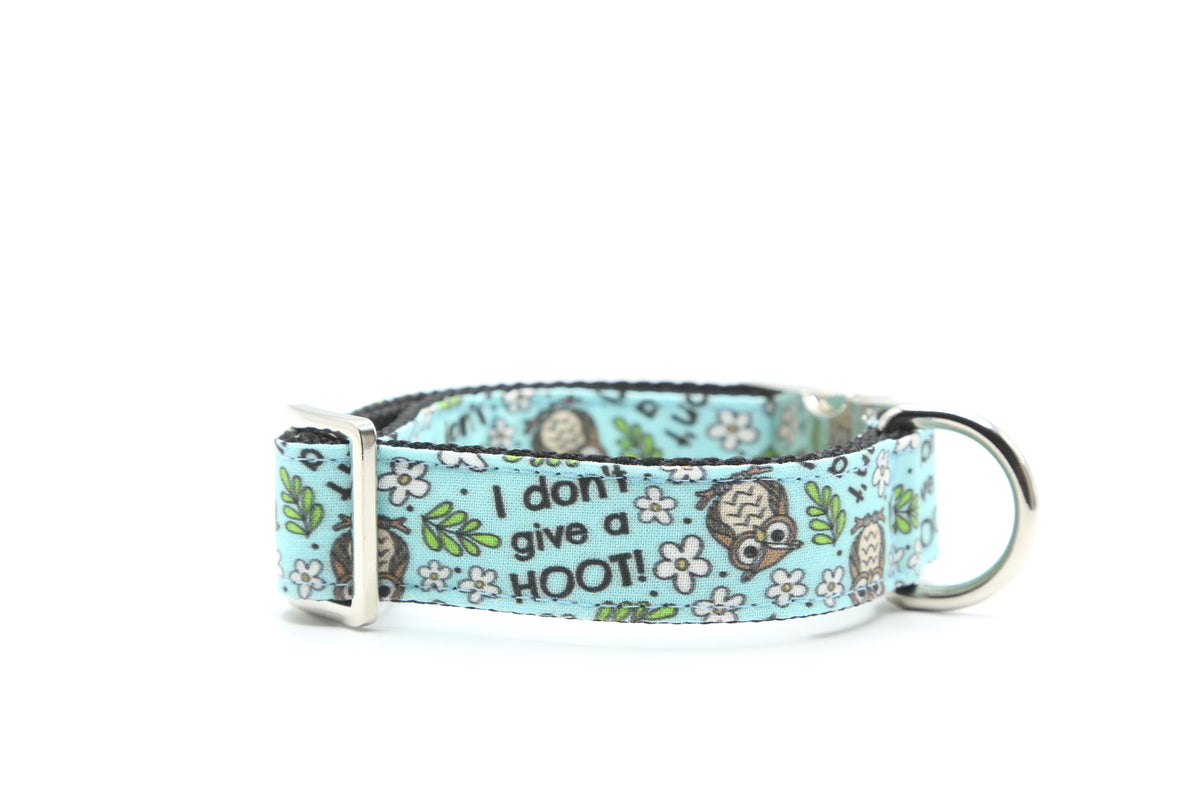 I Don’t Give a Hoot Dog Collar