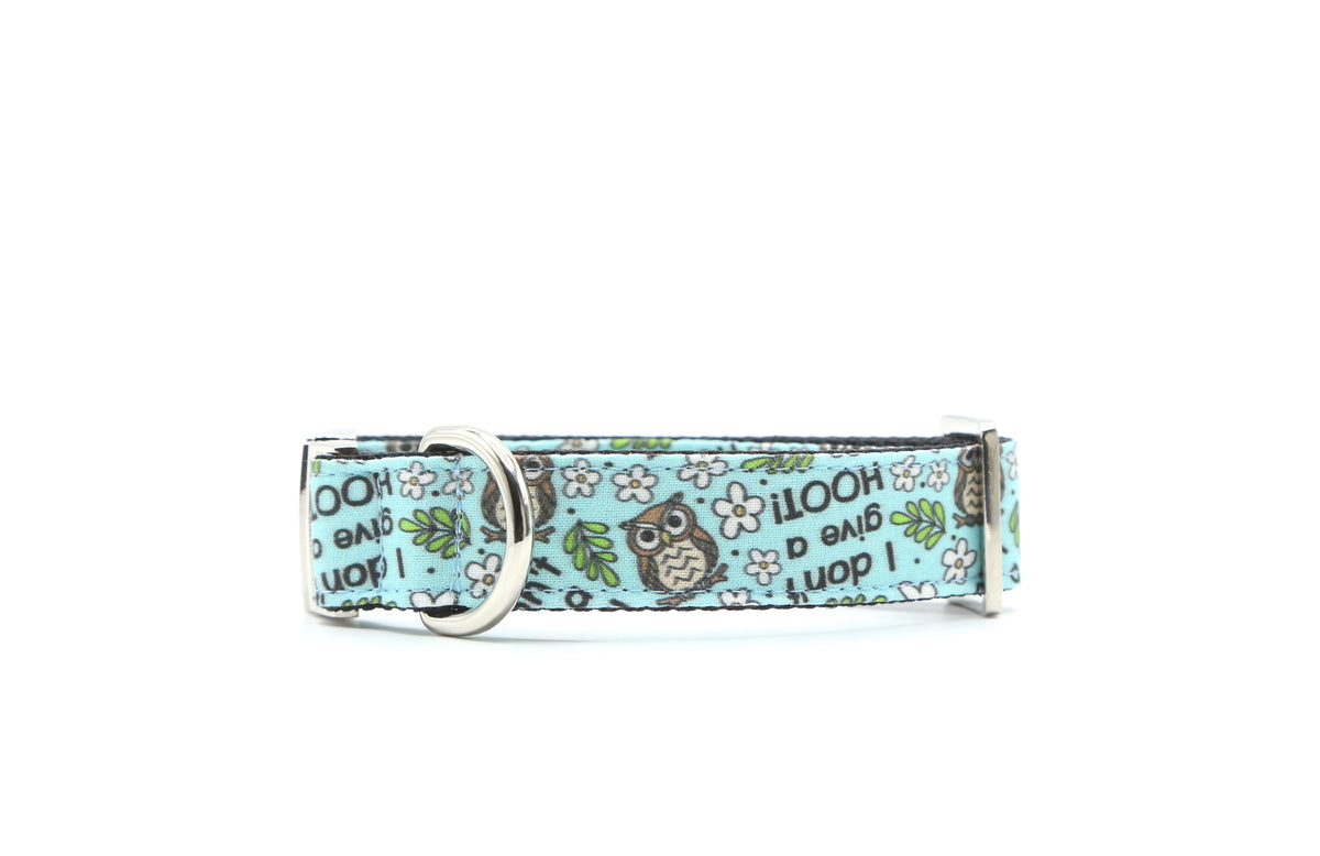 I Don’t Give a Hoot Dog Collar