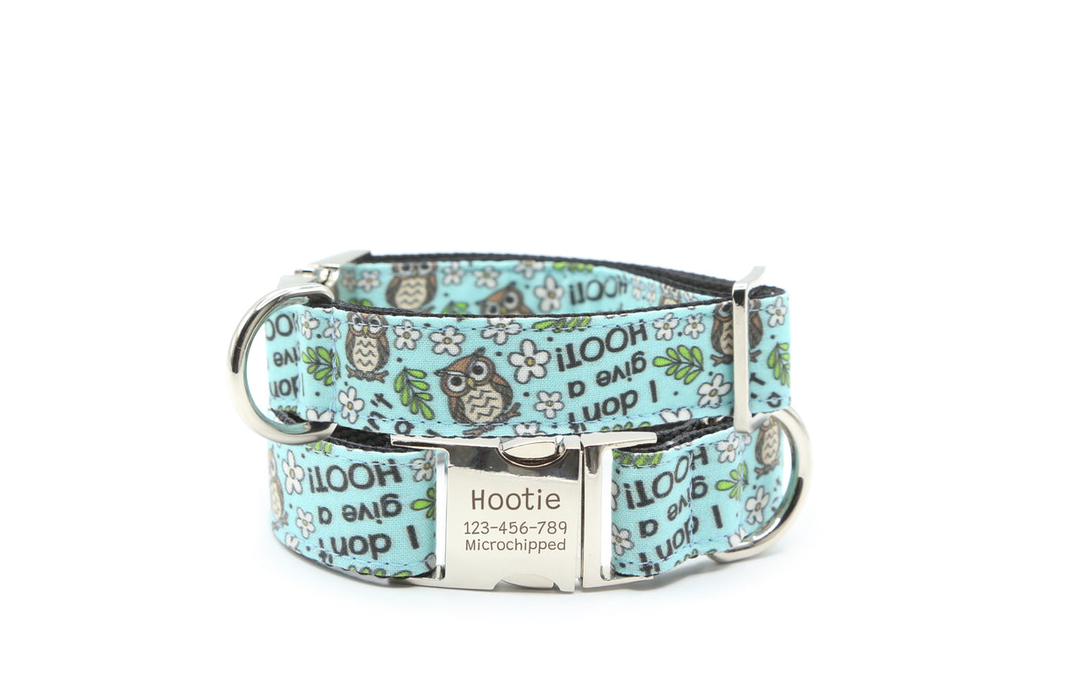 I Don’t Give a Hoot Dog Collar