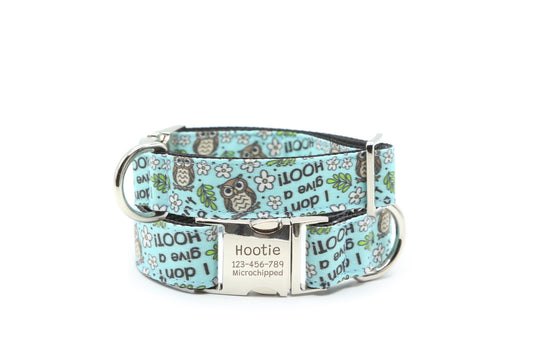 I Don’t Give a Hoot Dog Collar