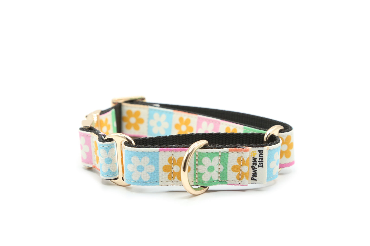 Daisy Checker floral dog collar