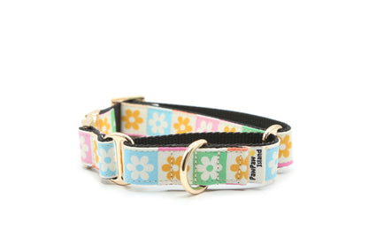 Rainbow Daisy Checker Dog Collar