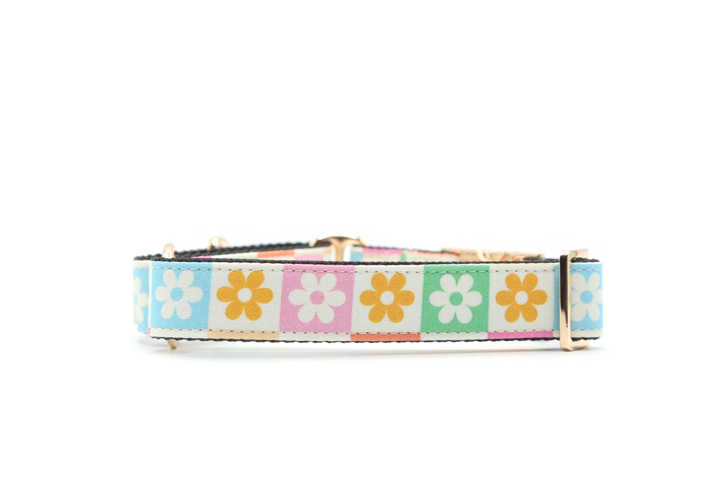 Daisy Checker floral dog collar