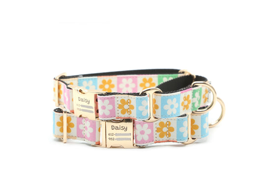 Daisy Checker floral dog collar
