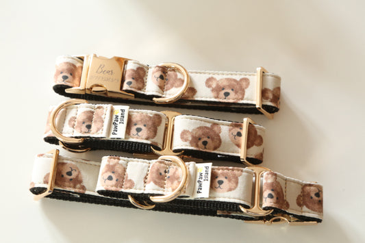 Teddy Bear Dog Collar