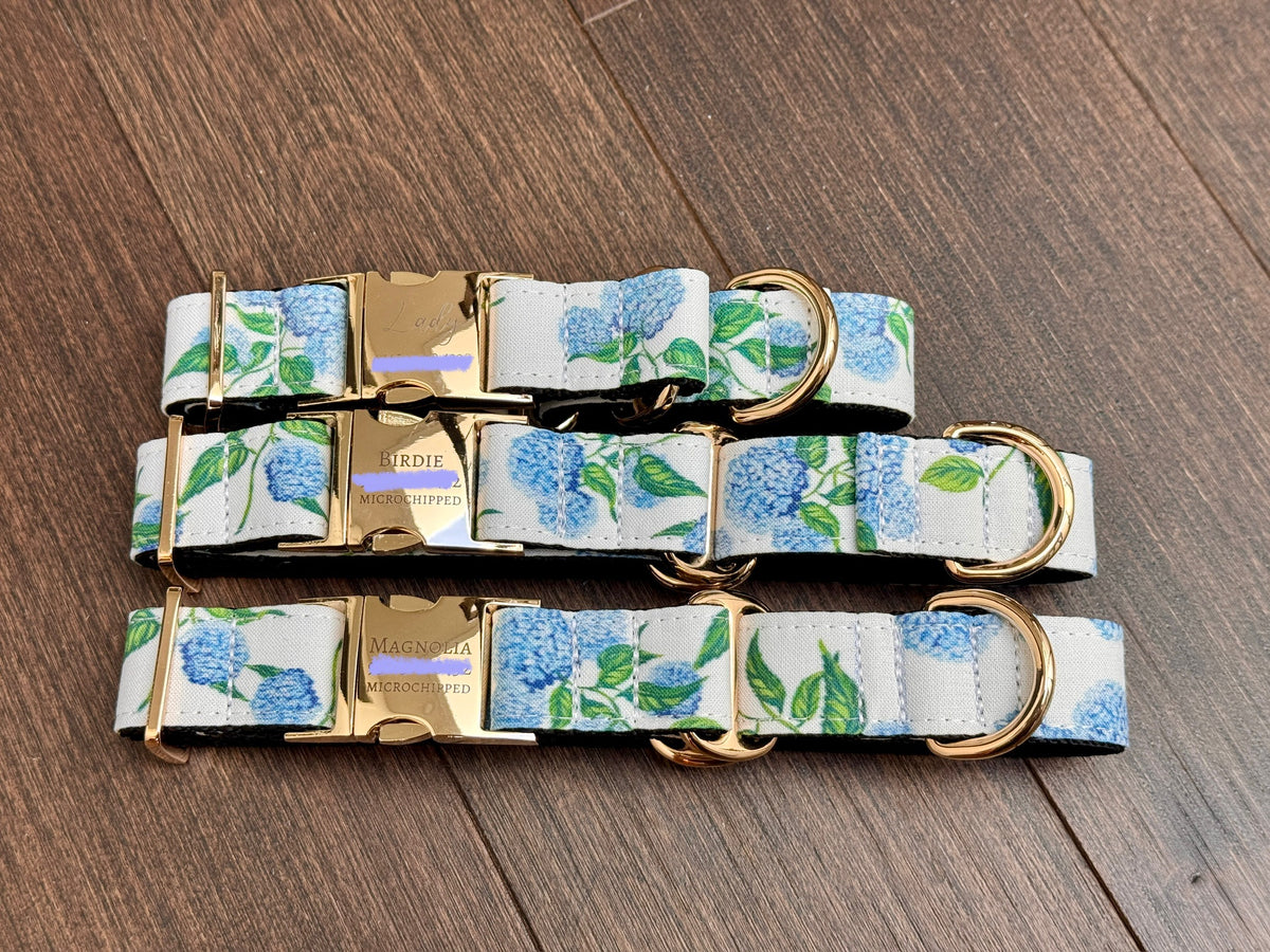 Blue Hydrangea Dog Collar