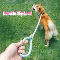 Paw Control Leash