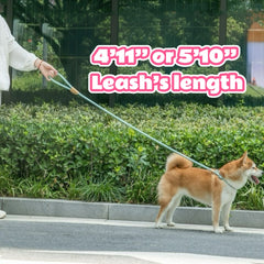 Paw Control Leash