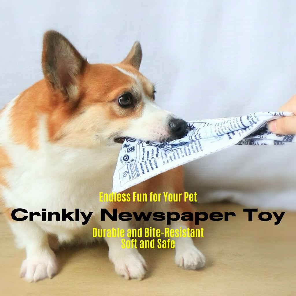 Crinkle Newspaper Toy