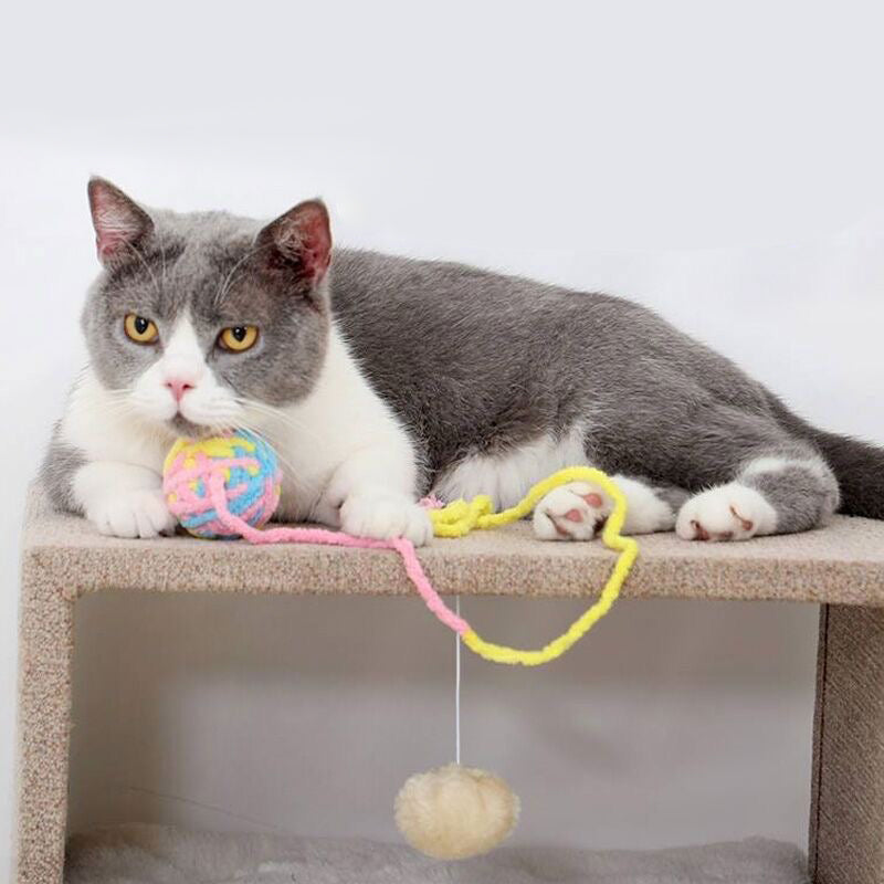 Cat Toy Balls with Bell Inside