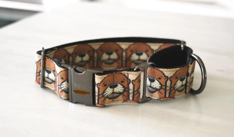 Otterly Adorable Dog Collar