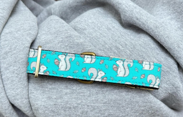 Acorn Squirrel Dog Collar