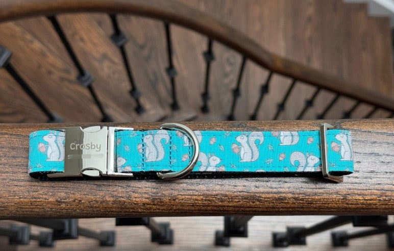 Acorn Squirrel Dog Collar