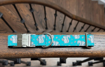 Acorn Squirrel Dog Collar