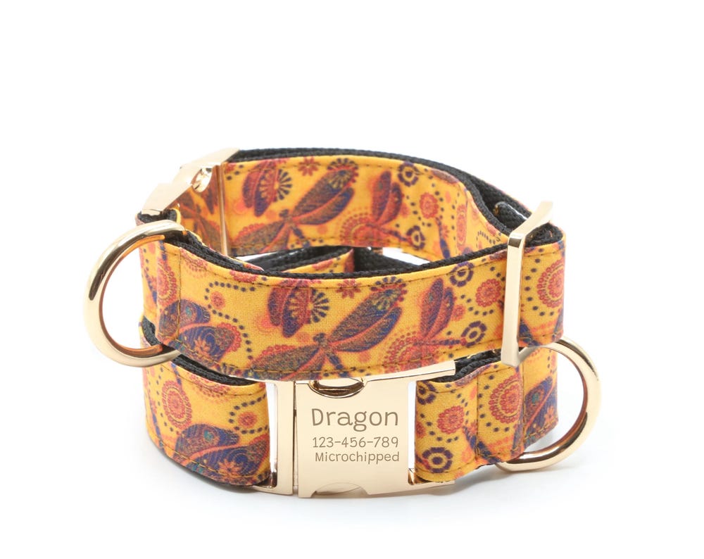 Dragonfly dog collar