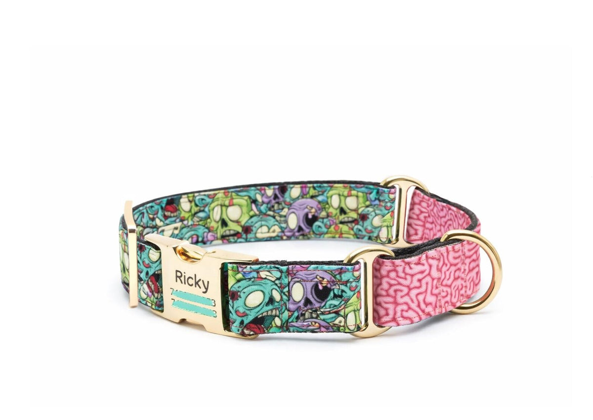 Zombie Brain Martingale Dog Collar
