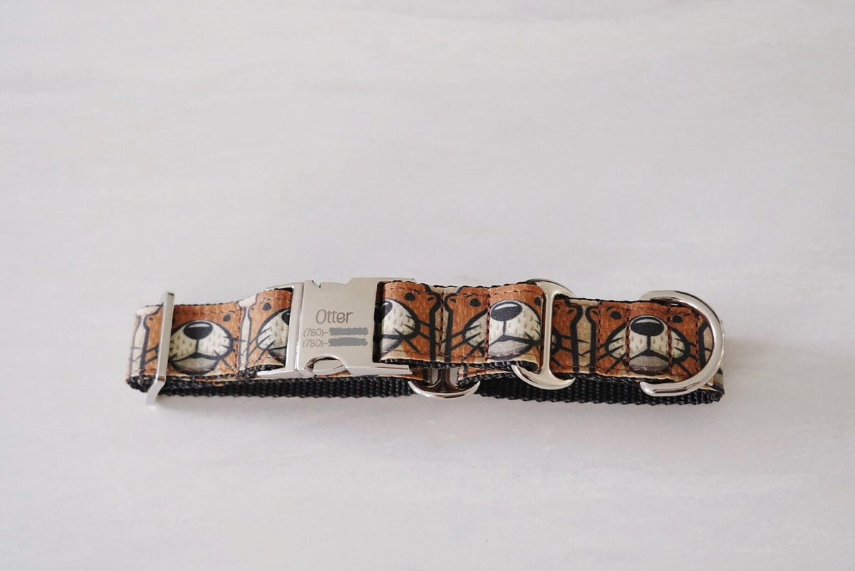 Otterly Adorable Dog Collar